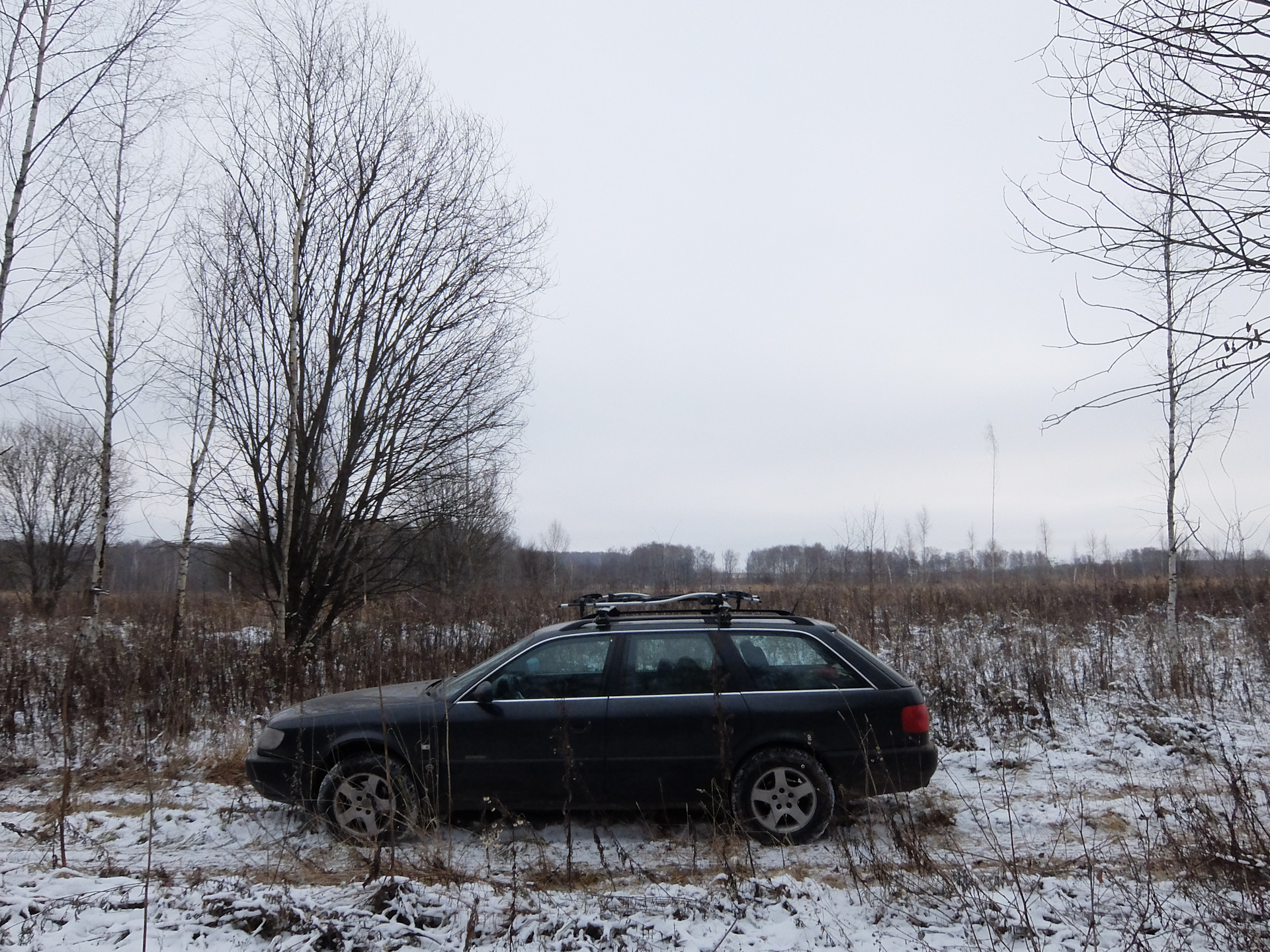 Полгода тишины. Подмосковье, ноябрь 2017. — Audi A6 (C4), 2,6 л, 1994 года  | наблюдение | DRIVE2