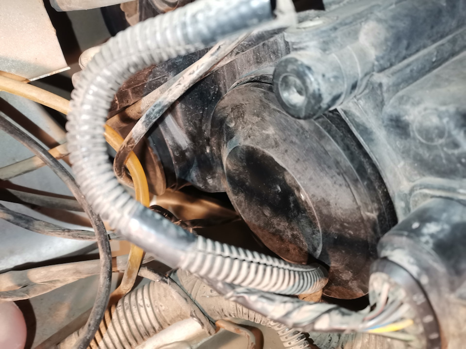 Запотела фара ближнего света. — Lada Приора хэтчбек, 1,6 л, 2011 года ...