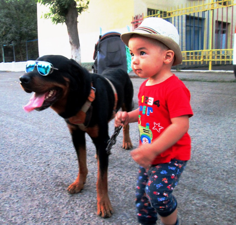 Боже, помоги мне стать таким человеком, каким меня считает моя собака ...