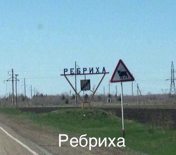 Ребриха барнаул на сегодня