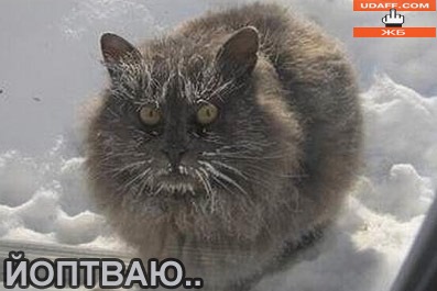 замерзает иммобилайзер что делать. замерзает иммобилайзер что делать фото. картинка замерзает иммобилайзер что делать. смотреть фото замерзает иммобилайзер что делать. смотреть картинку замерзает иммобилайзер что делать.