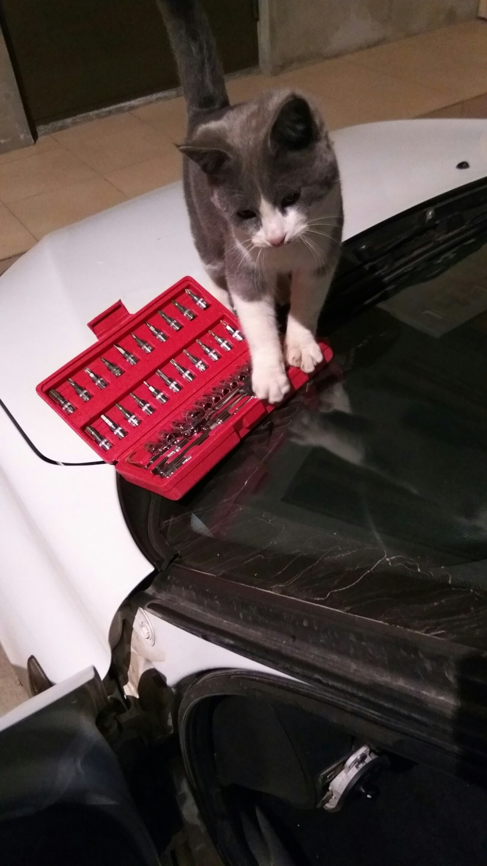 Фото в бортжурнале Lada Granta