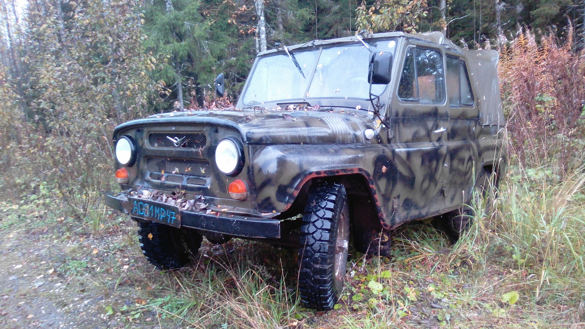 Взору предстала. Признаки искусства обществознание. Взору предстала. Проект разнообразие красок осени введение. Тихий шорох.
