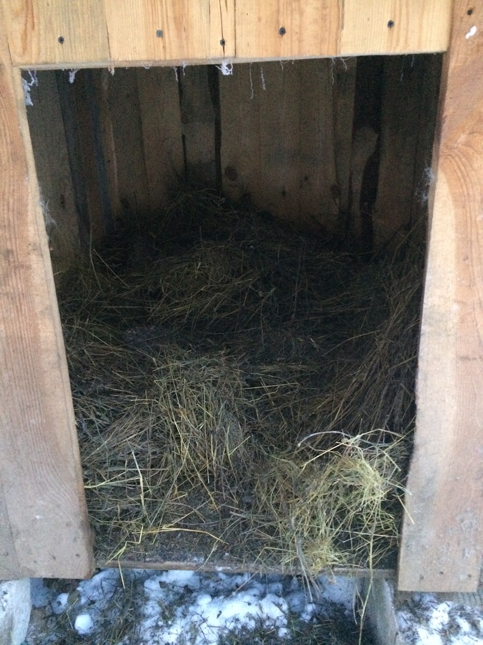 Фото в бортжурнале Chevrolet Suburban (8G)