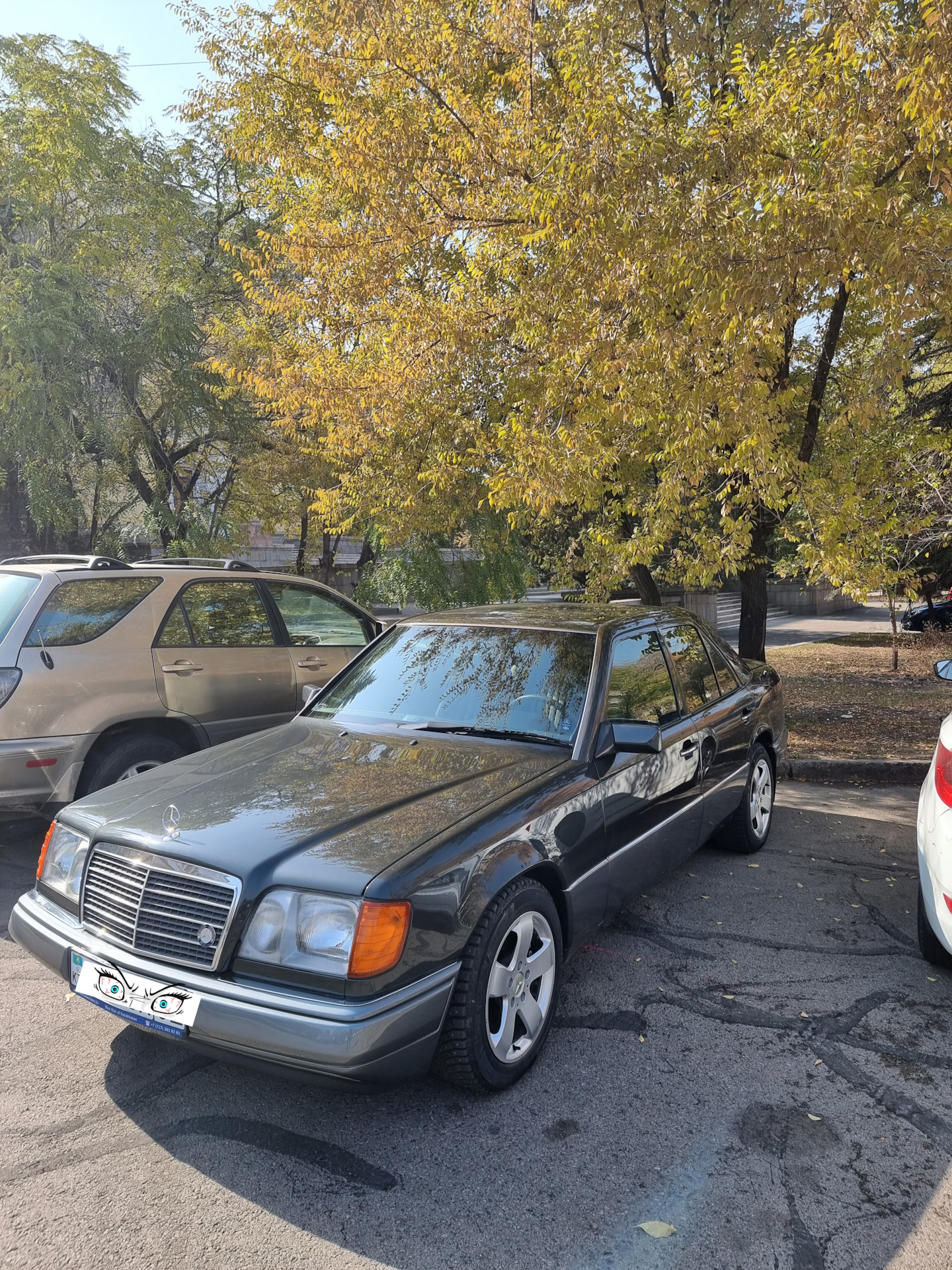 Запись #43. Зимняя шипованная резина Мишлен 205/55/R16 — Mercedes-Benz ...