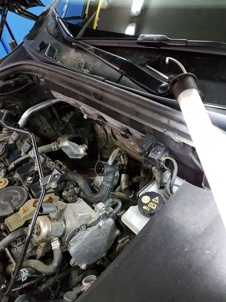 Фото в бортжурнале Skoda Octavia Combi A7 Mk3