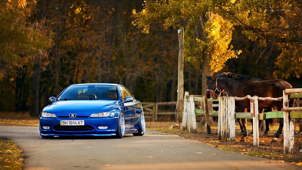 peugeot 406 stance