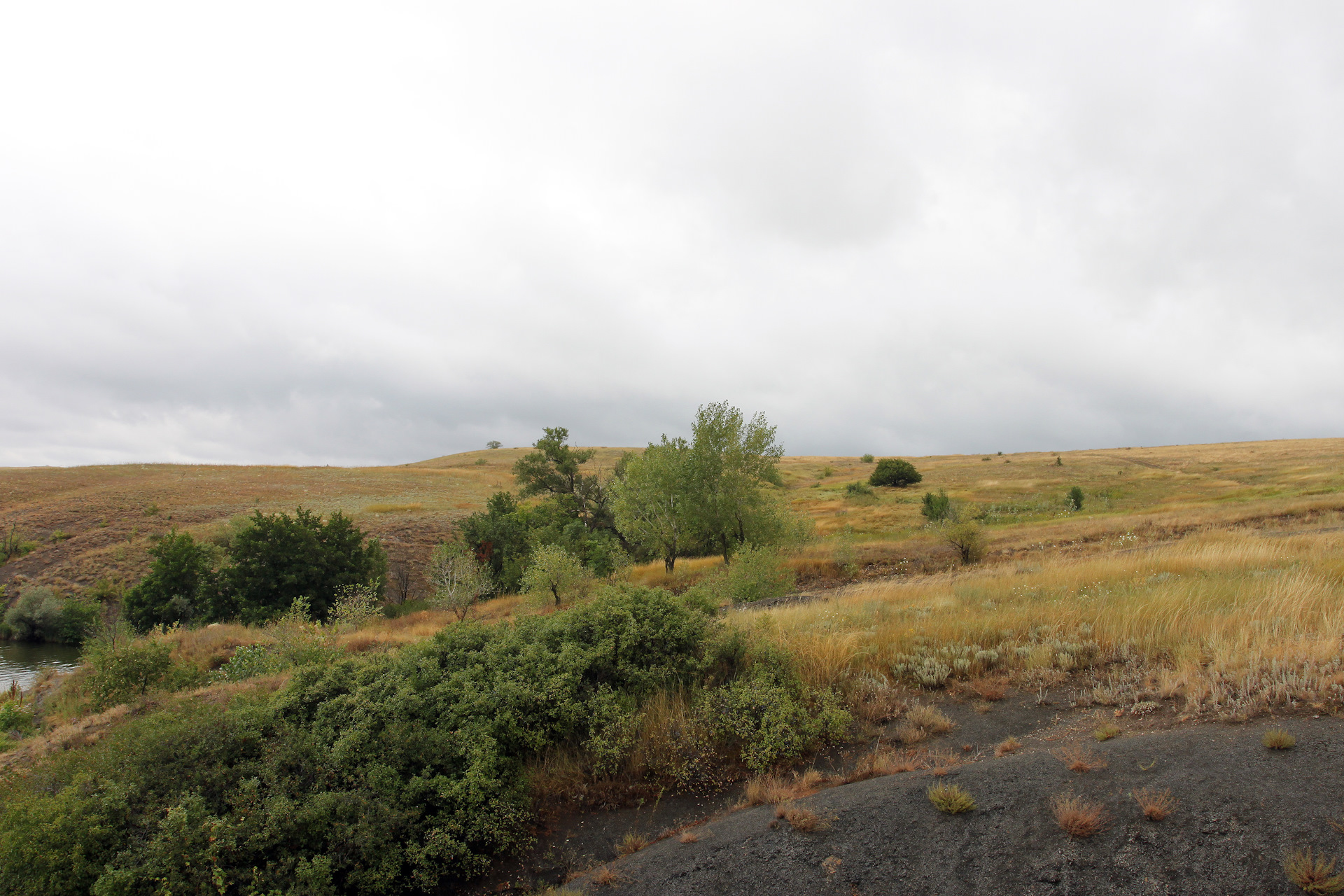 Село ореховка ставропольский погода. Ореховка Запорожская область. Село Ореховка Самарская область Алексеевский район. Ореховка Приазовский район. Село Ореховка Ставропольский край.