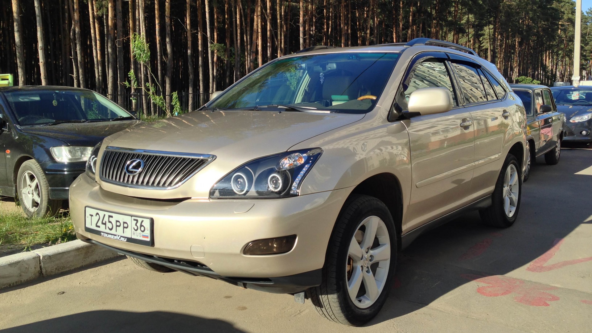 Lexus RX (2G) 3.3 бензиновый 2004 | 330 Luазuк на DRIVE2