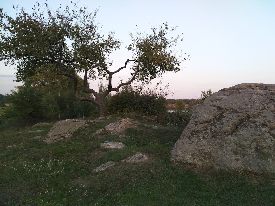 Фото в бортжурнале Nissan Primera (P12)