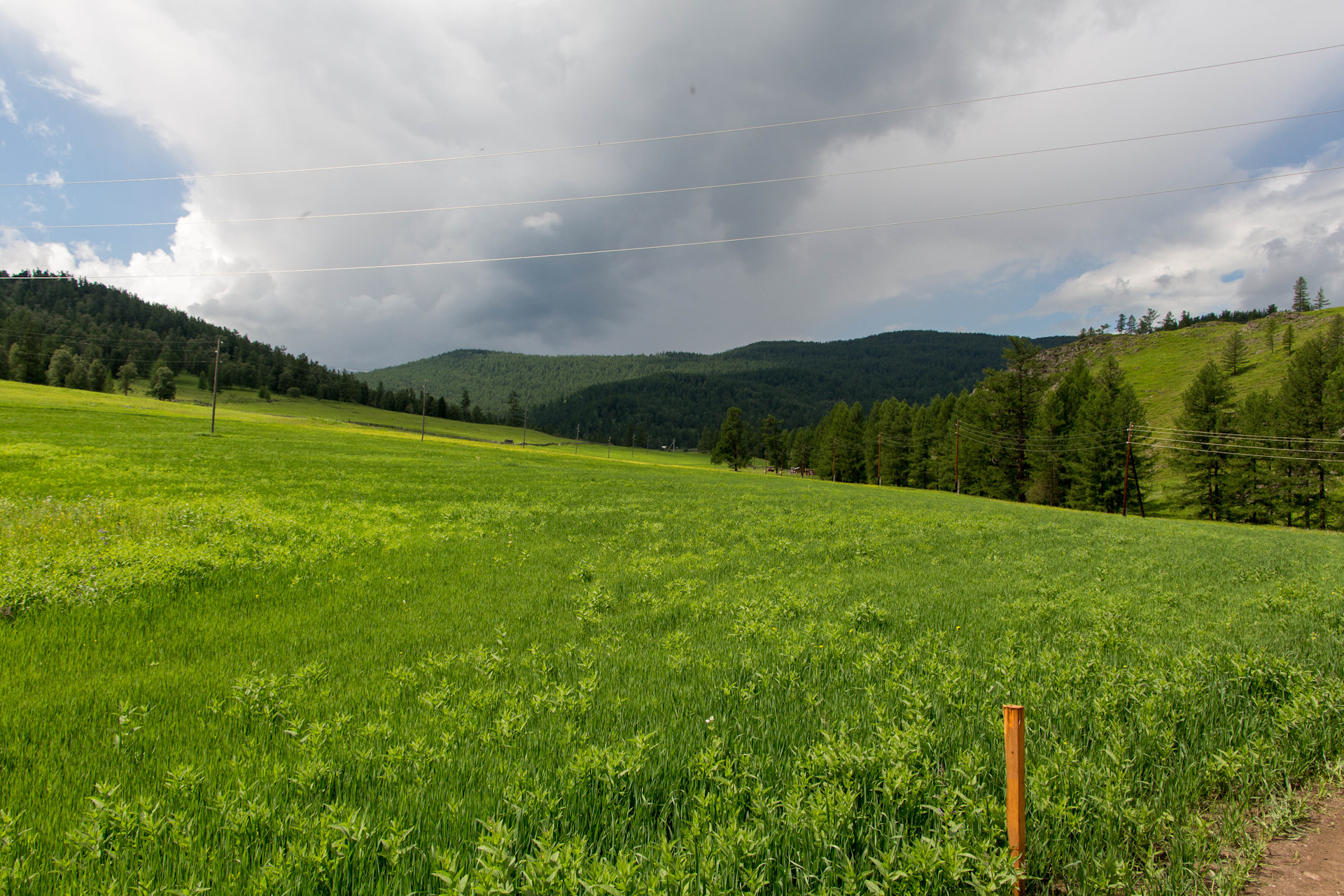 Купить Дом Село Бархатово Красноярский Край