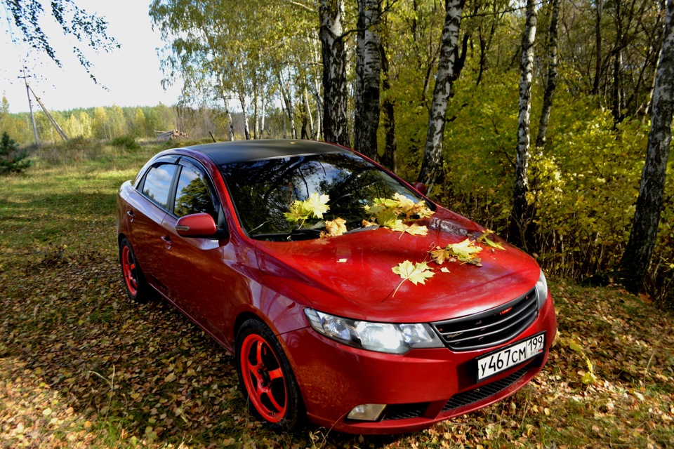 Kia Cerato 2 драйв 2