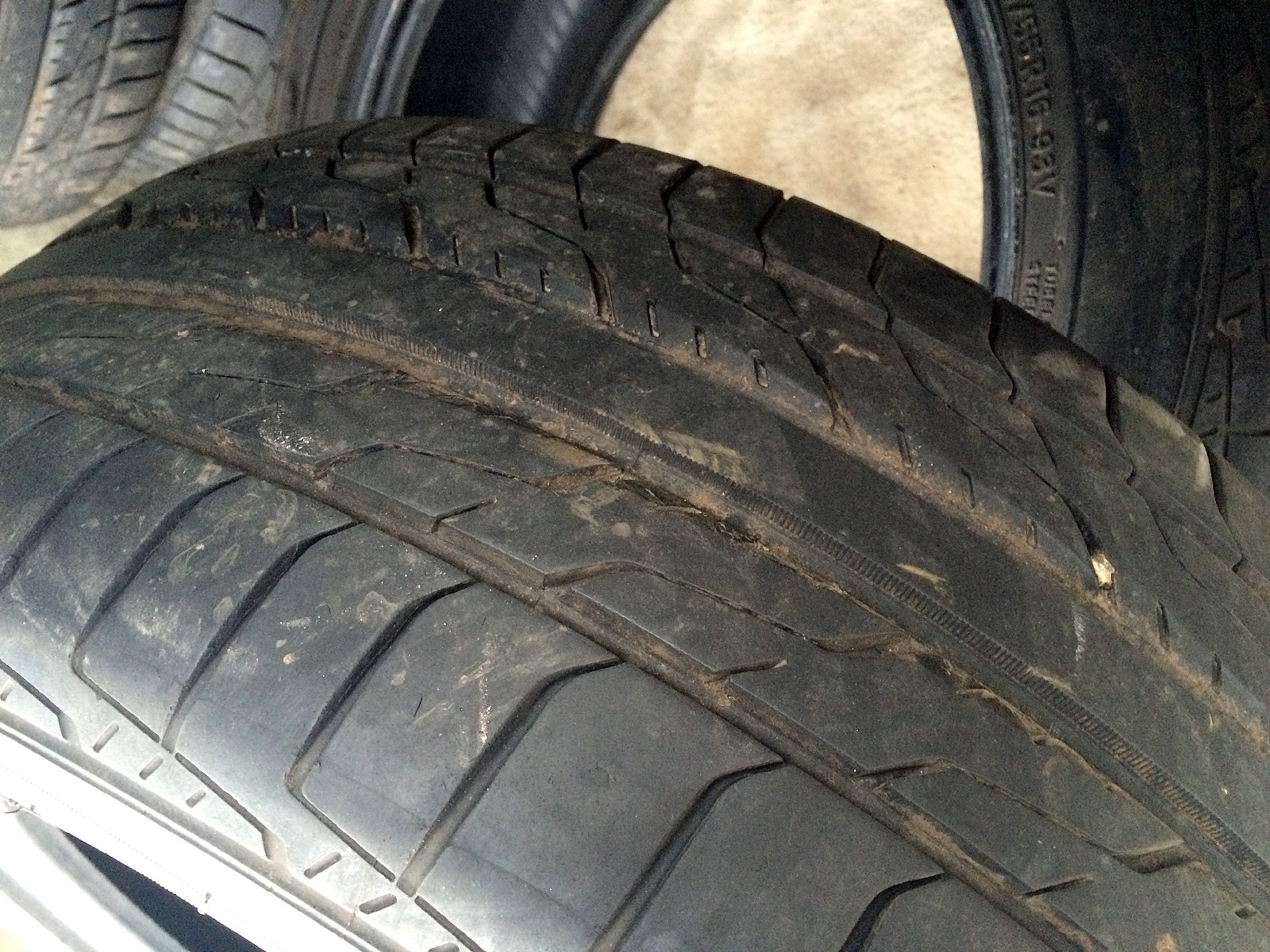 215 55 r16. Toyo DRB 215/55 r16. Шины Toyo 215/55 r16. Покрышки Тойо летние r16 215/55. Toyo DRB Treadwear.