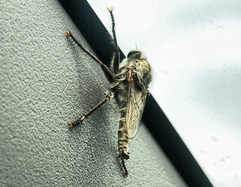 Фото в бортжурнале Mitsubishi L200 (4G)