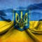 Побелел пластик на авто после химчистки. Смотреть фото Побелел пластик на авто после химчистки. Смотреть картинку Побелел пластик на авто после химчистки. Картинка про Побелел пластик на авто после химчистки. Фото Побелел пластик на авто после химчистки