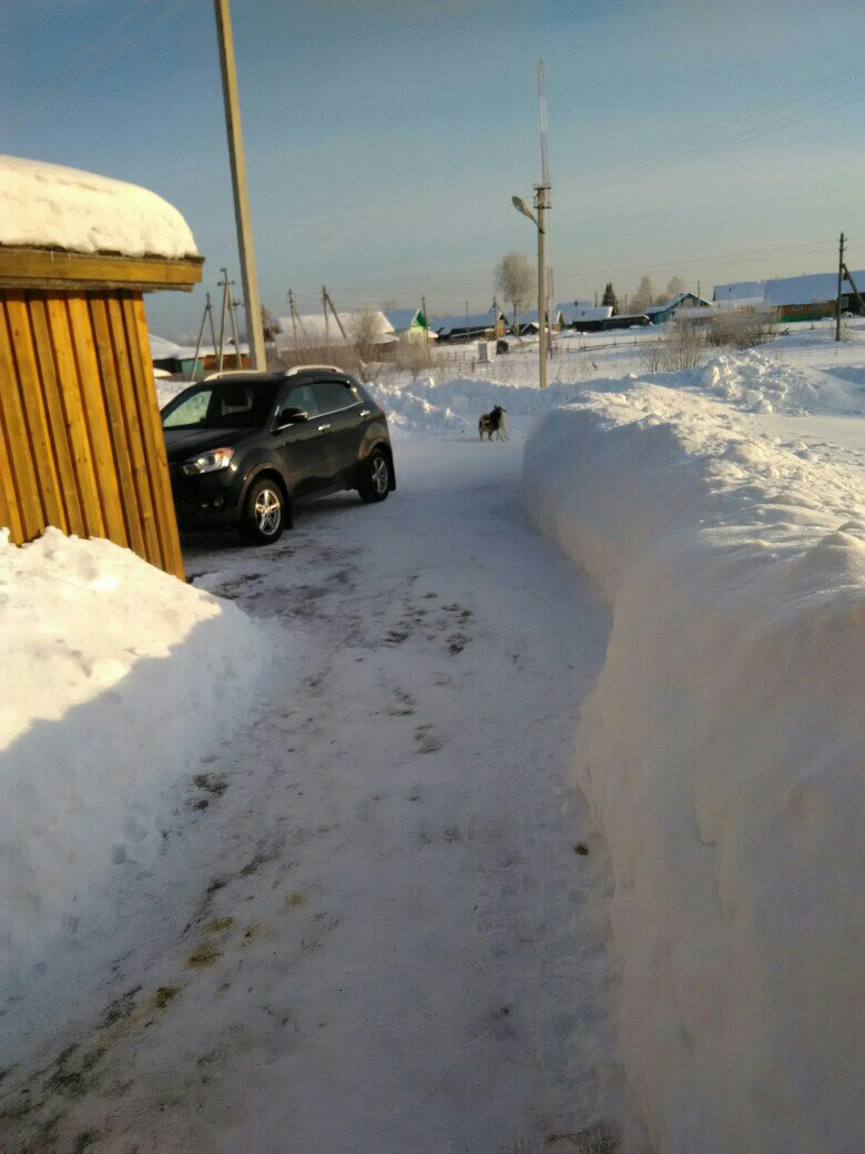 Поездка в деревню Вологодская область Кич Городецкий район д.Шатенево —  SsangYong Actyon (2G), 2 л, 2014 года | путешествие | DRIVE2