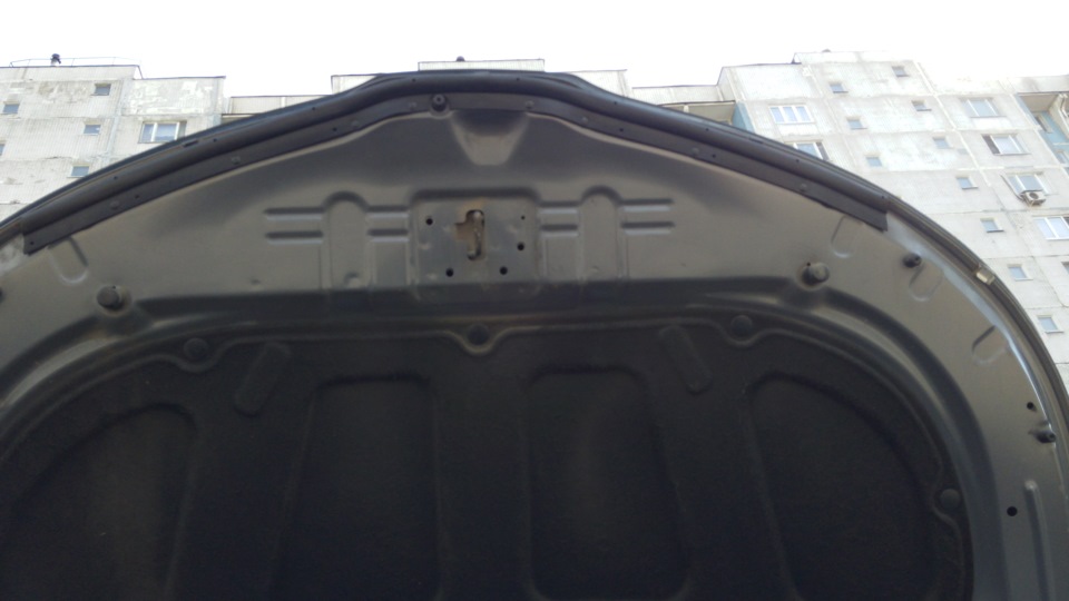 Уплотнитель капота — KIA Rio (3G), 1,6 л, 2013 года | аксессуары | DRIVE2