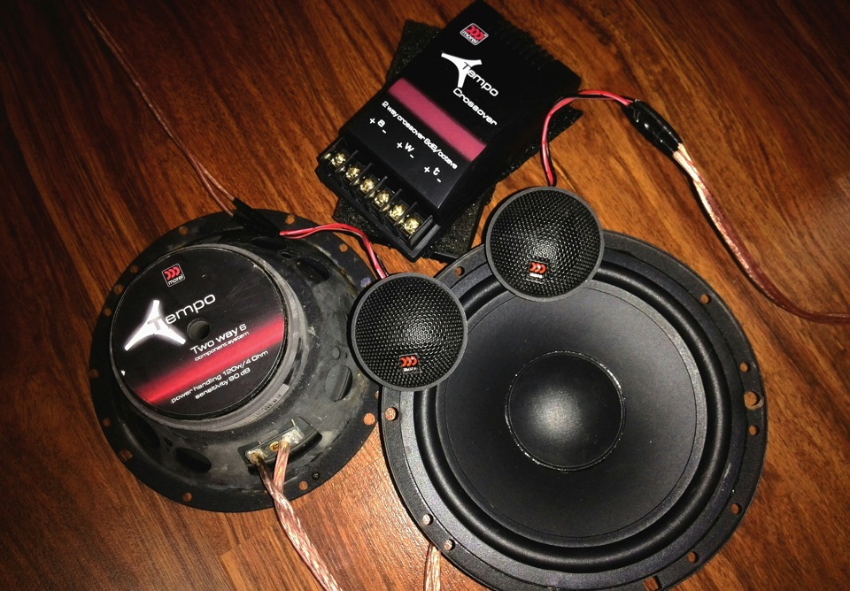 Morel tempo