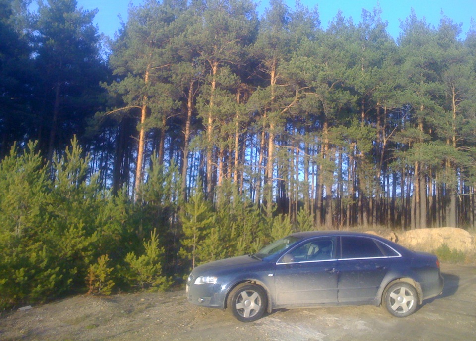 Скатались в каменск. =) — Audi A4 (B7), 2 л, 2006 года | заправка | DRIVE2