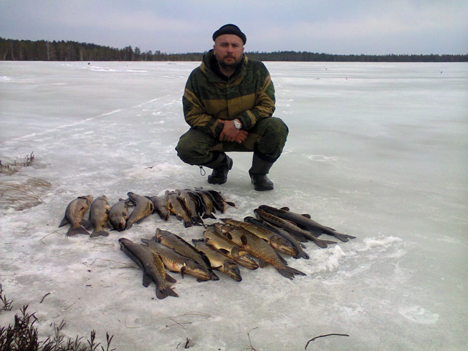 Рыбалка в нижнем тагиле и его окрестностях. Озеро Посольское Нижневартовский район рыбалка. Рыбалка в Нижневартовске. Рыбалка в Нижневартовске зимой. Рыбы Нижневартовского района.