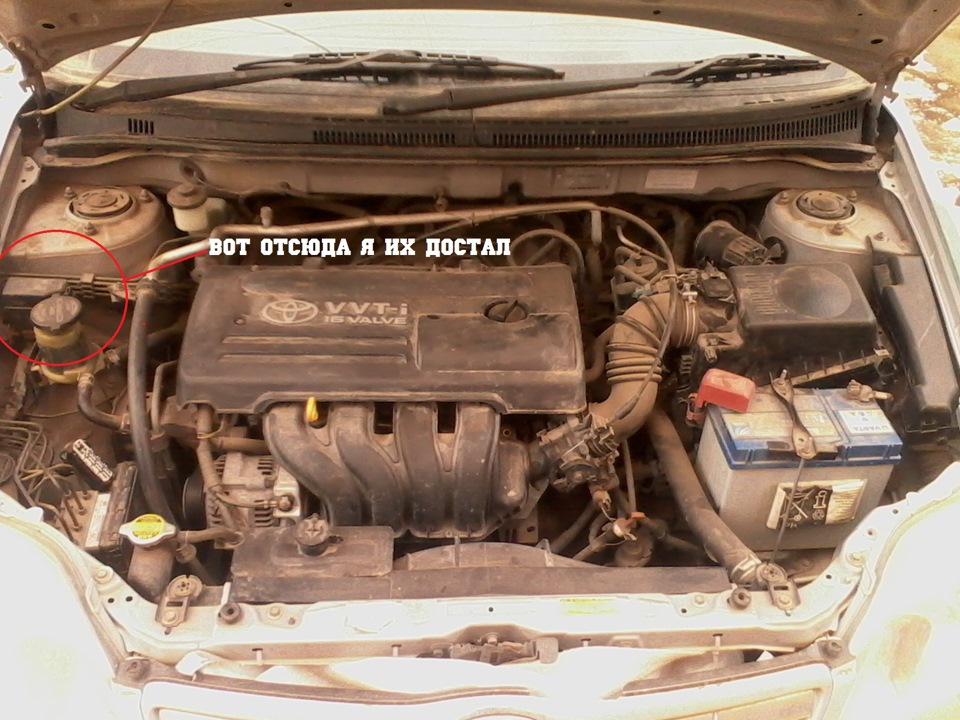 Фото в бортжурнале Toyota Corolla (120)