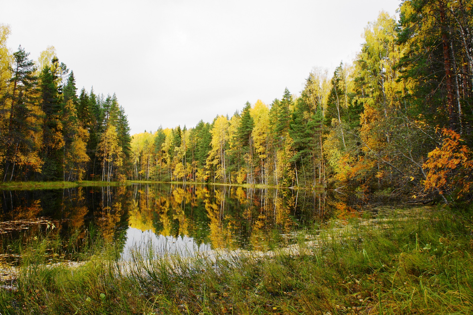 Река видим