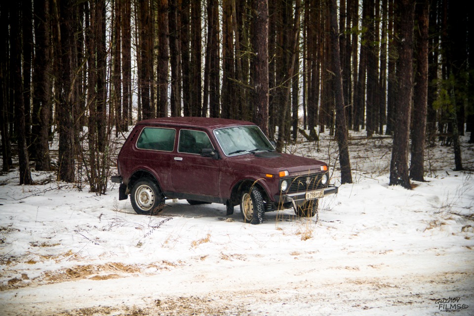 Автомобиль лесник фото