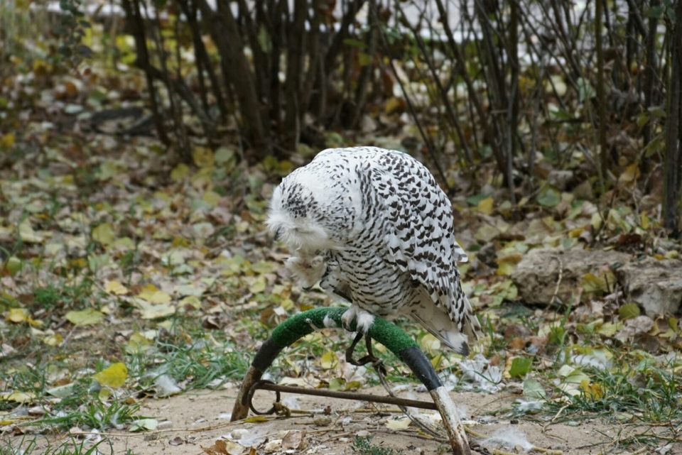 Моя поездка в Липецк 10.10.15 часть 2 (то что осталось за кадром ...