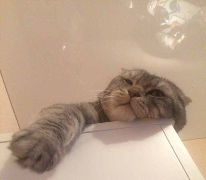 Как снять двухсторонний скотч с авто — Skoda Octavia A5 Mk2, 1,8 л ...