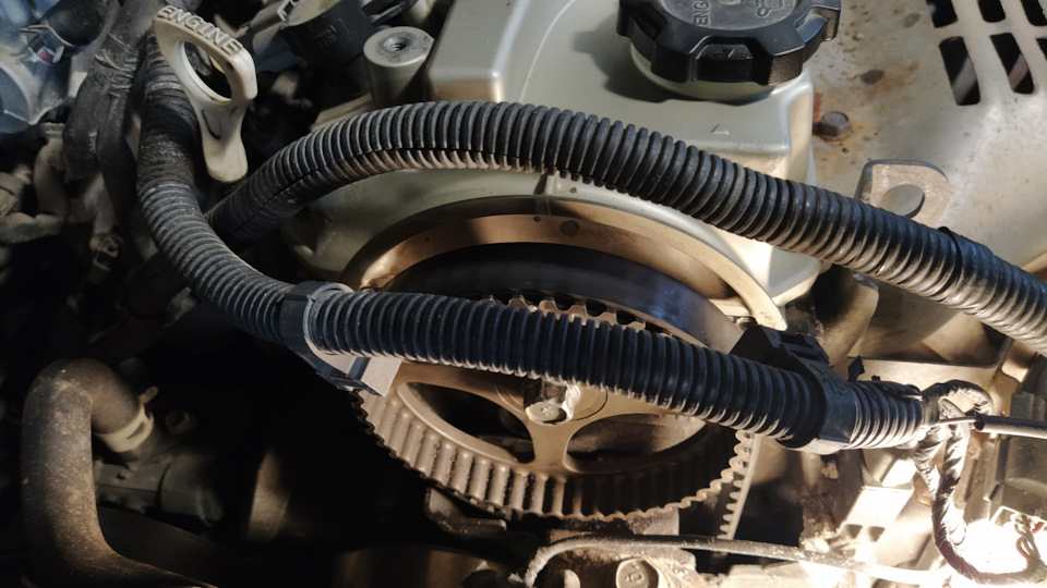 Привод ГРМ новый, как и говорил предыдущий владелец — Mitsubishi Grandis