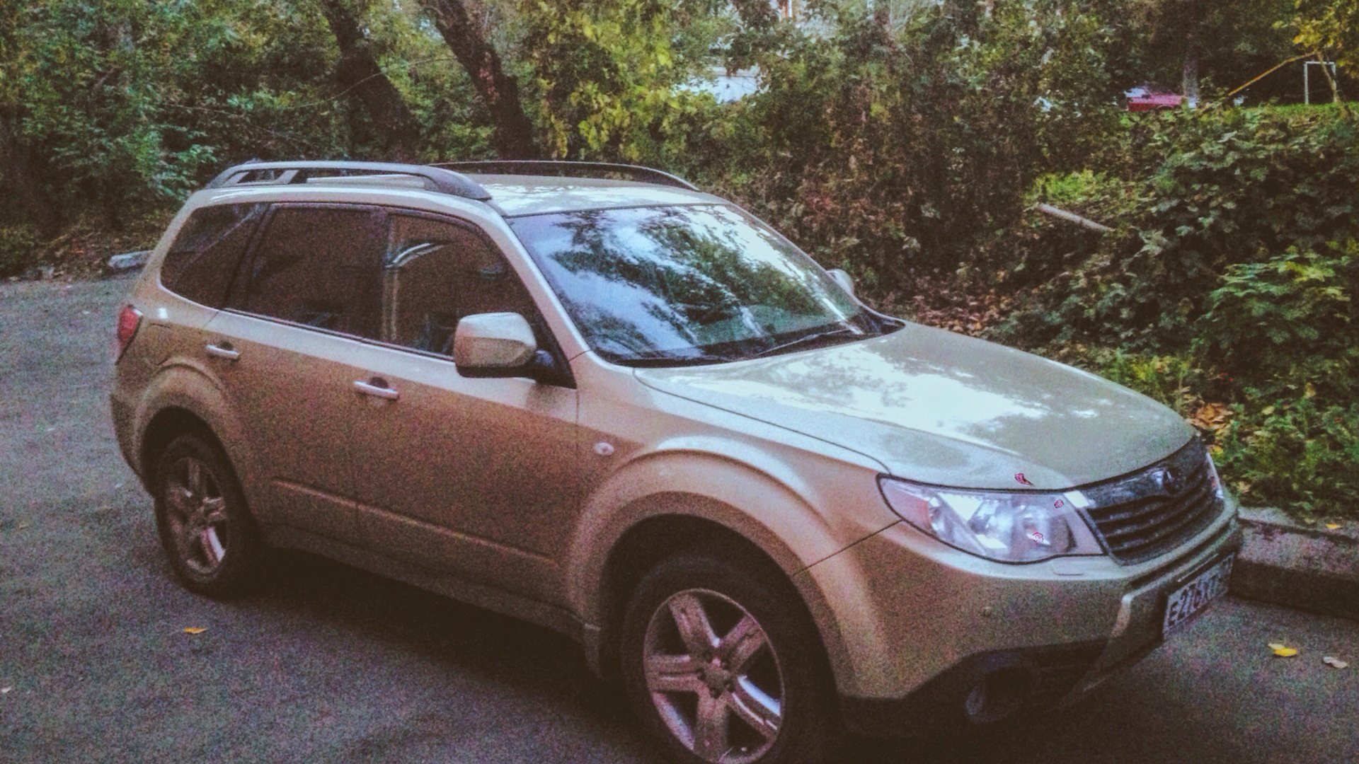 Subaru Forester (SH) 2.5 бензиновый 2010 2`5 на DRIVE2