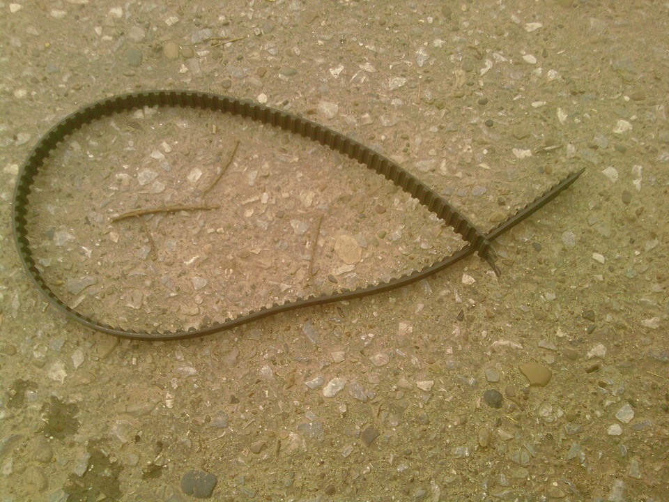 порвался ремень ГРМ — Lada 2114, 1,6 л, 2010 года | поломка | DRIVE2