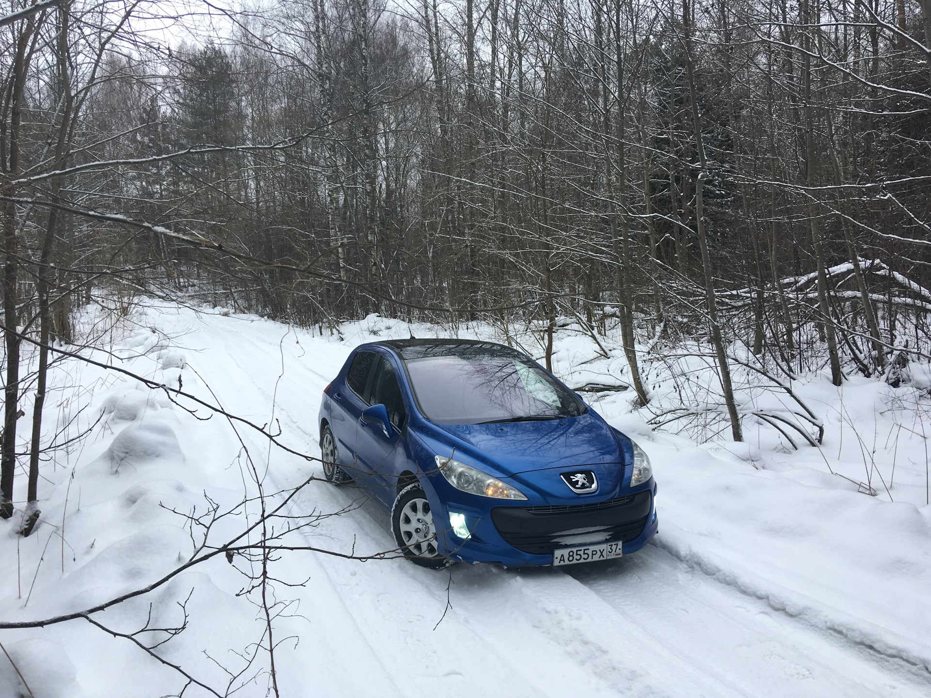 Пежо зимой. Зимний Пежо. Пырик автомобиль. Зимний Пежо легкий. Пежо с зимним пакетом фото.