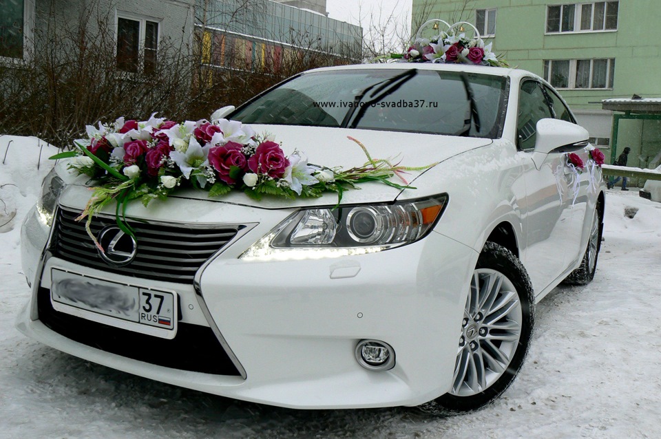 Можем украсить машинки на свадьбу в цвете "бордо" — Lexus ES (XV60), 2 ...