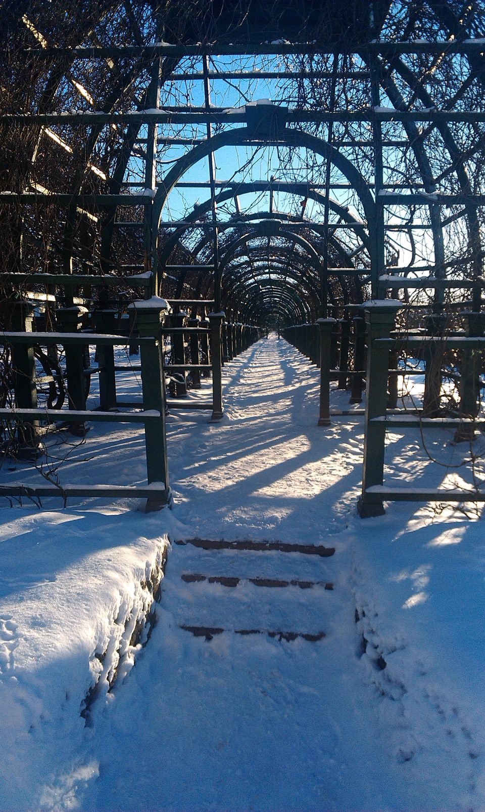 парк в петергофе зимой