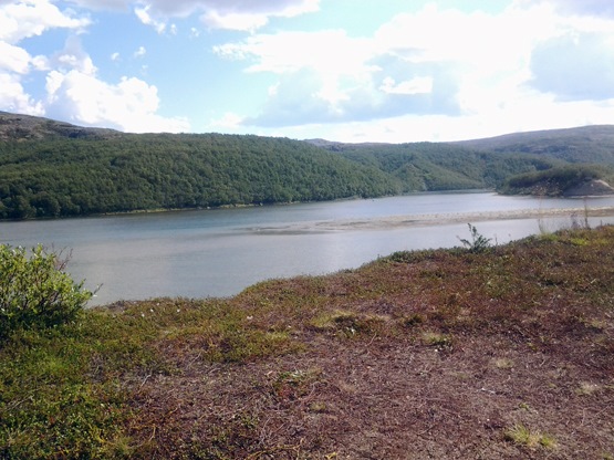 Фото в бортжурнале УАЗ 315195 Hunter