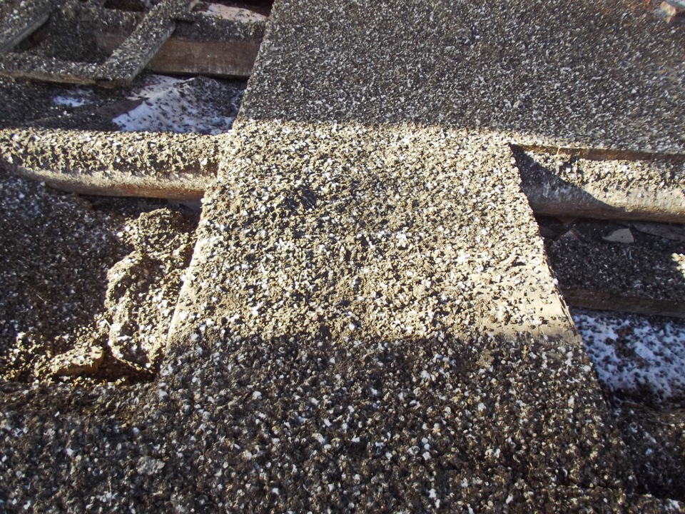 Саратов — с.Ключи — Вольск — Саратов — KIA Sportage (1G), 2 л, 2001 ...