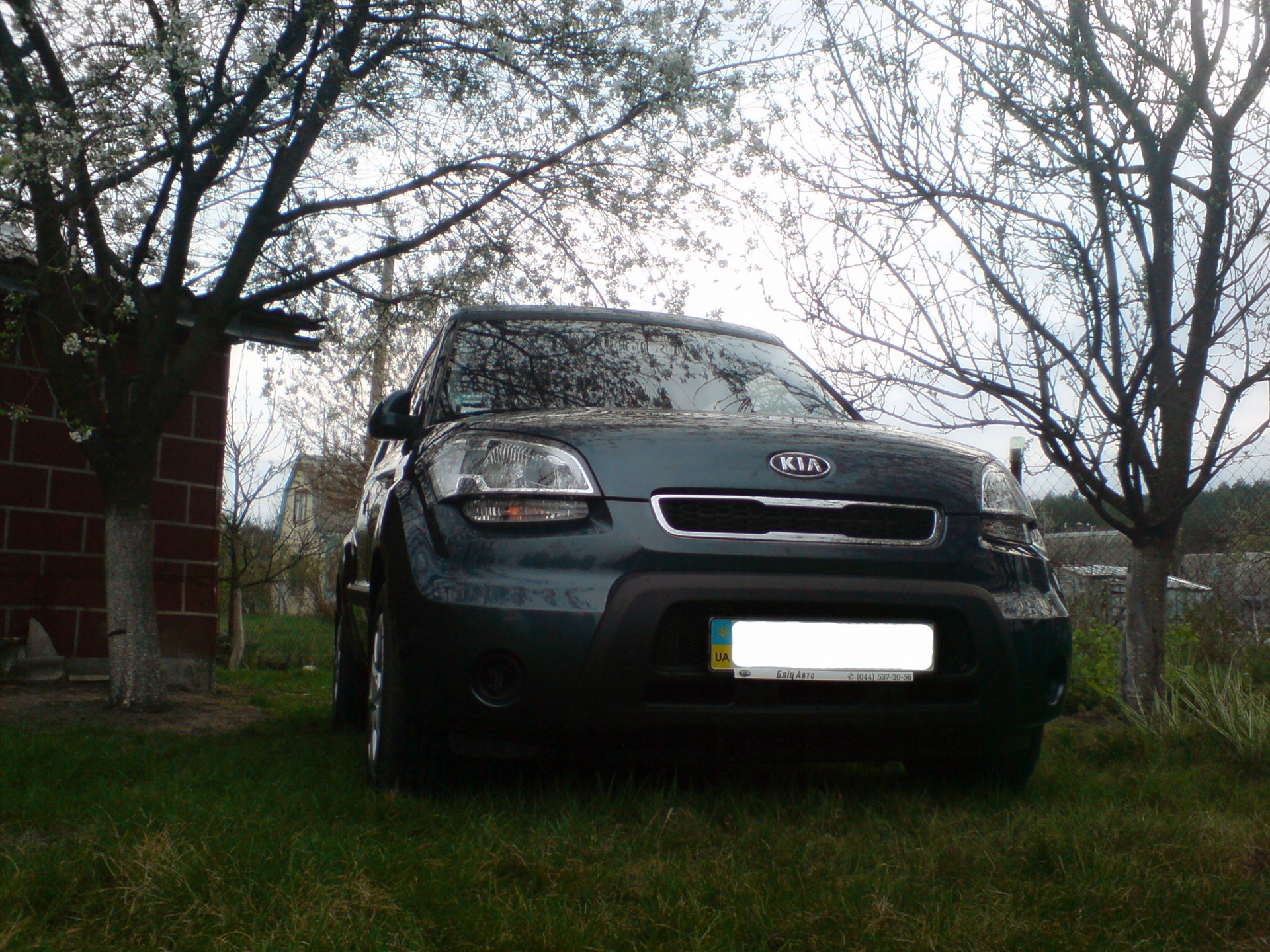 Мини фотосет у себя на даче =) — KIA Soul (1G), 1,6 л, 2010 года |  фотография | DRIVE2