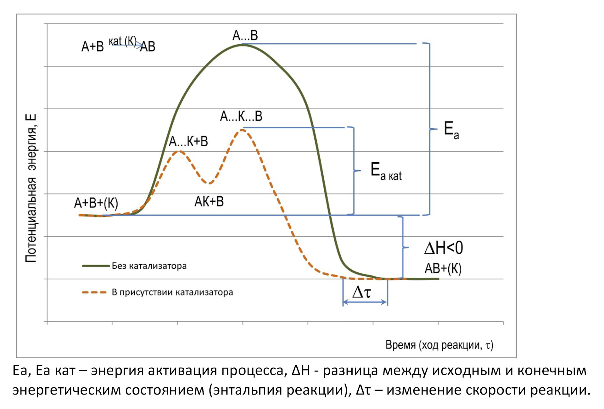 Скорость химической реакции катализаторы. Катализатор и энергия активации. Энергия активации реакции на графике. Энергия активации с катализатором и без. Энергия активации катализ.