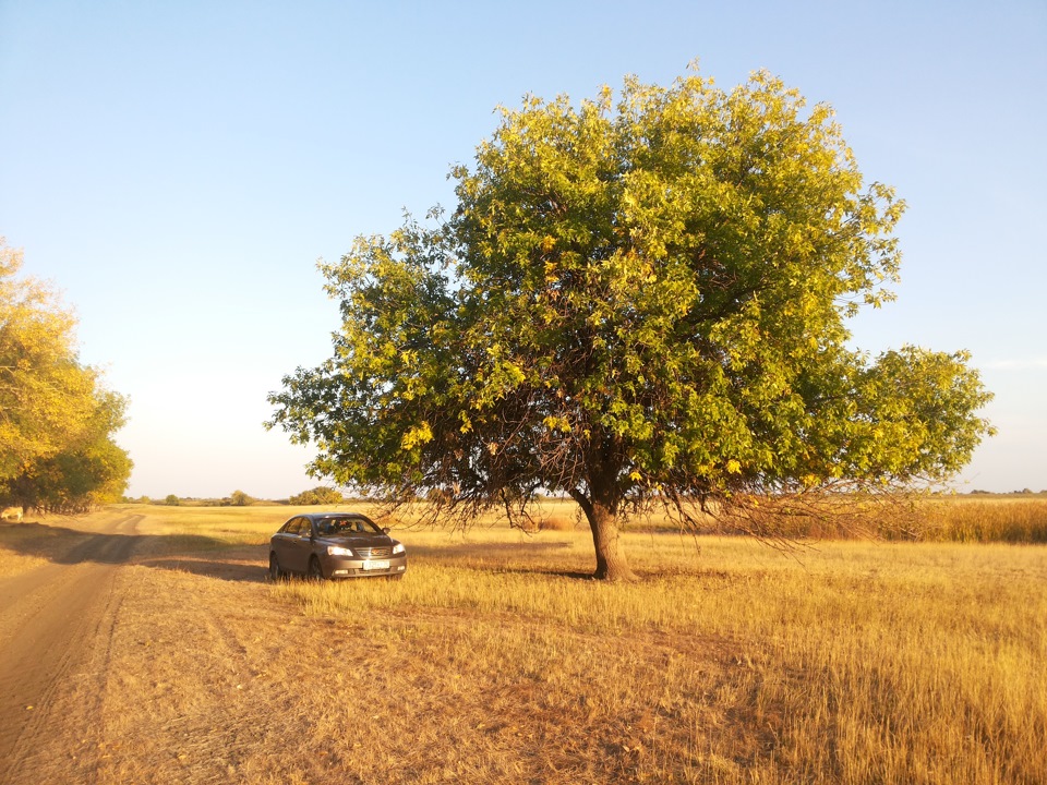 Фото в бортжурнале Geely Emgrand EC7 FE-1