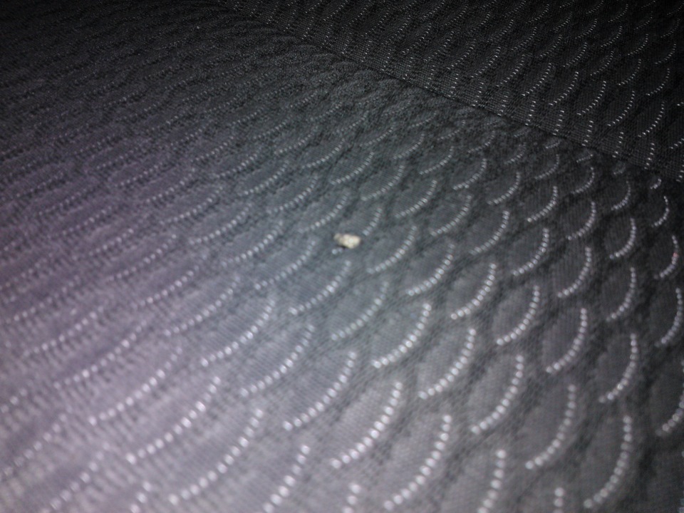 Ремонт прожога, ремонт кожи. — Феникс Technology на DRIVE2