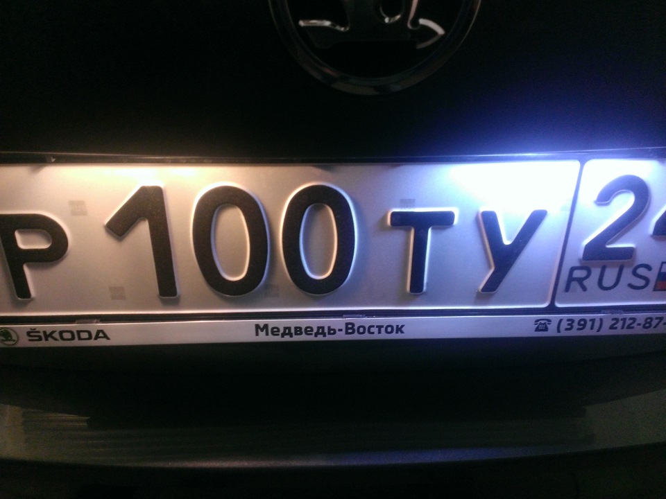 Какой номер у света. Skoda Octavia 2014 год лампа подсветки номера.