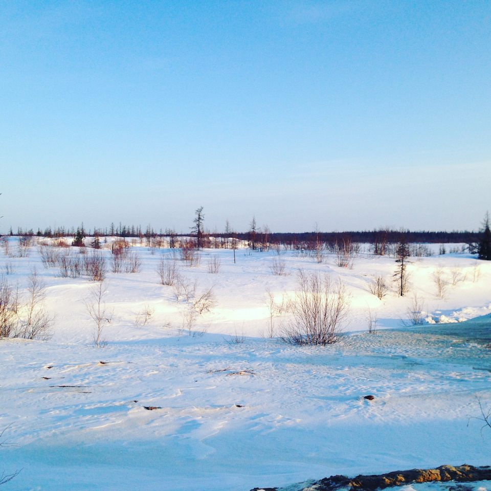 Фото в бортжурнале УАЗ Patriot