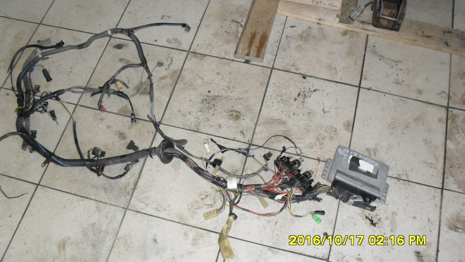 Январь 5.1 — Сообщество «Nissan Club» на DRIVE2