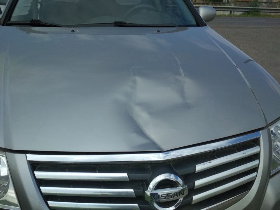 Помялся капот и поцарапан бампер — Nissan Almera Classic (B10), 1,6 л ...