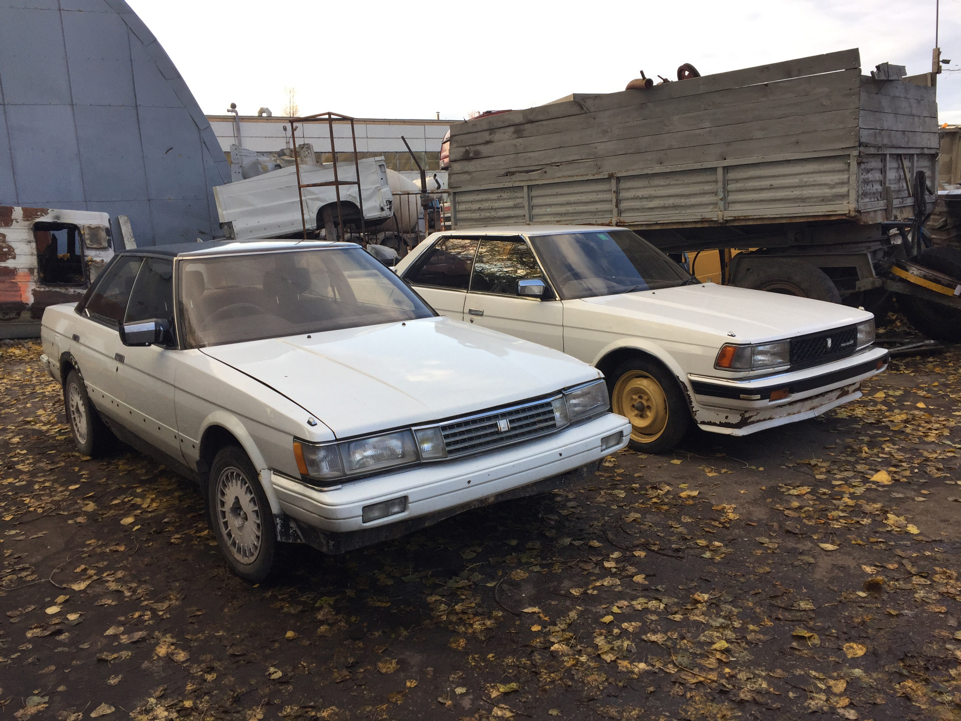 Чернотой как донор?Да пускай — Toyota Chaser (70), 2 л, 1988 года ...