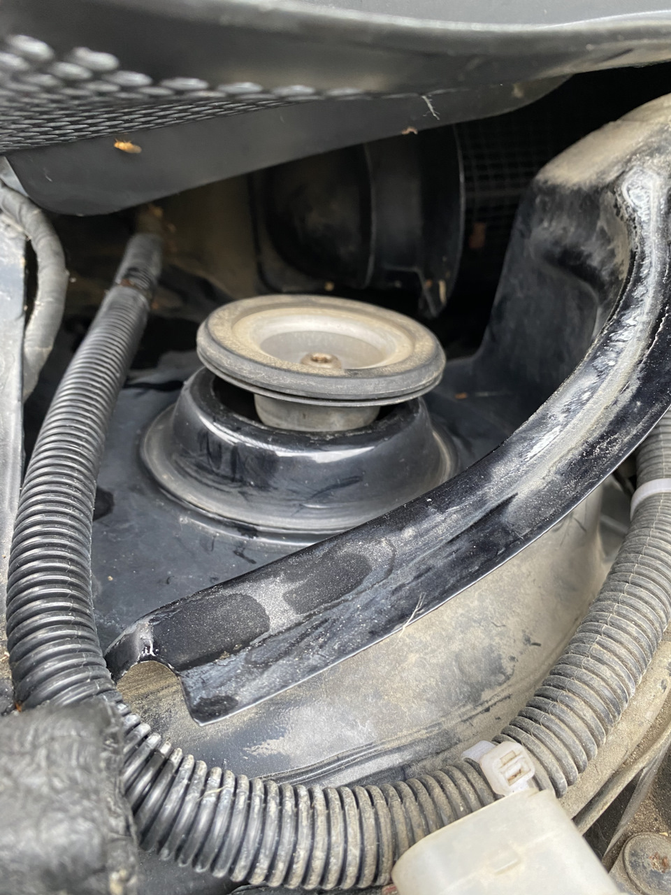 Фото в бортжурнале Volkswagen Polo Sedan