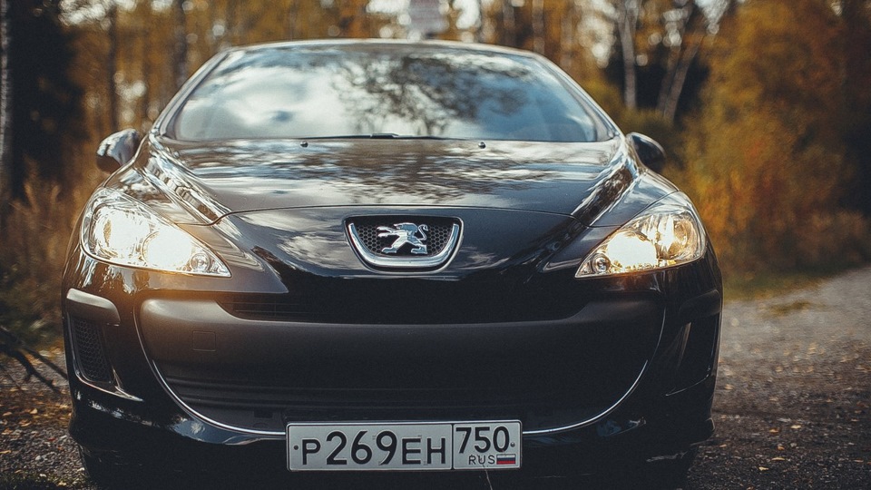 Какое масло заливаете в Пыжик? — Peugeot 308 (1G), 1,6 л, 2008 года ...