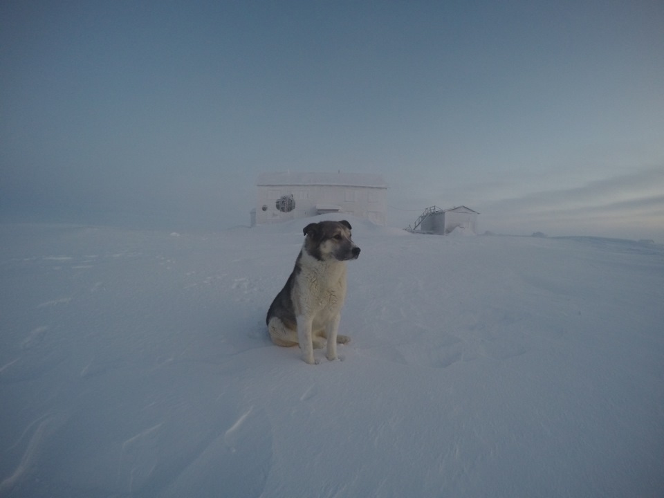 Фото в бортжурнале УАЗ 39095