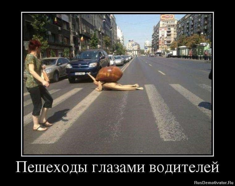 Приколы на дорогах 2025 года